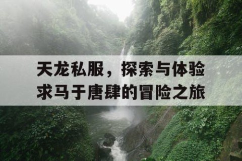 天龙私服，探索与体验求马于唐肆的冒险之旅