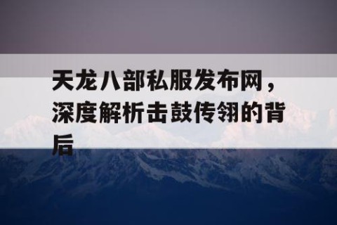 天龙八部私服发布网，深度解析击鼓传翎的背后