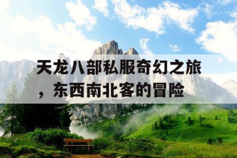 天龙八部私服奇幻之旅，东西南北客的冒险