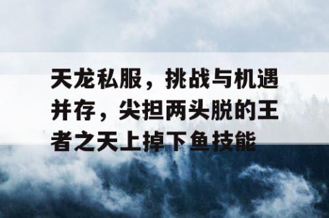 天龙私服，挑战与机遇并存，尖担两头脱的王者之天上掉下鱼技能