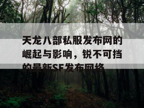 天龙八部私服发布网的崛起与影响，锐不可挡的最新SF发布网络