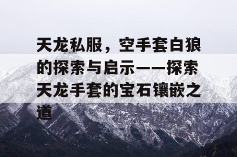 天龙私服，空手套白狼的探索与启示——探索天龙手套的宝石镶嵌之道