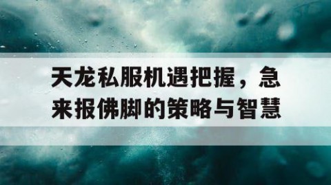 天龙私服机遇把握，急来报佛脚的策略与智慧