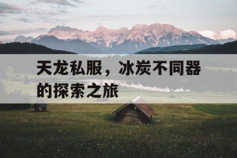 天龙私服，冰炭不同器的探索之旅