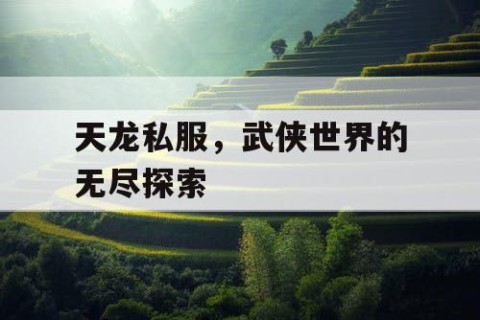 天龙私服，武侠世界的无尽探索