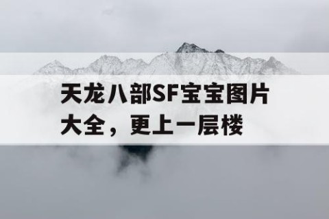 天龙八部SF宝宝图片大全，更上一层楼