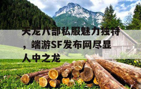 天龙八部私服魅力独特，端游SF发布网尽显人中之龙