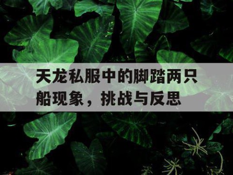 天龙私服中的脚踏两只船现象，挑战与反思