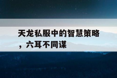 天龙私服中的智慧策略，六耳不同谋