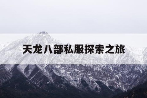 天龙八部私服探索之旅