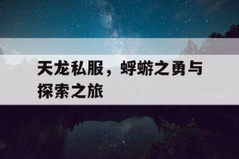 天龙私服，蜉蝣之勇与探索之旅