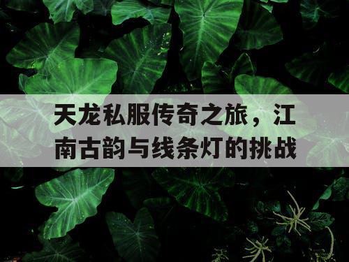 天龙私服传奇之旅，江南古韵与线条灯的挑战