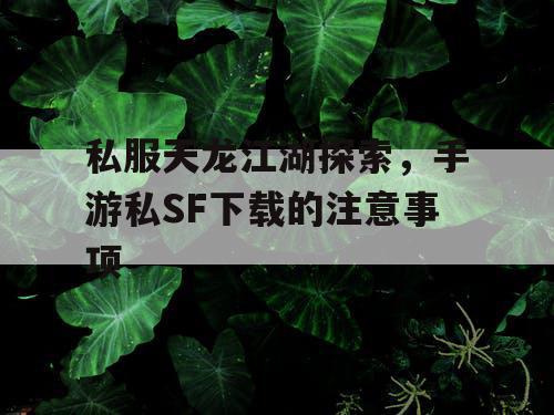 私服天龙江湖探索，手游私SF下载的注意事项