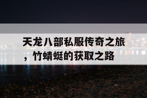 天龙八部私服传奇之旅，竹蜻蜓的获取之路