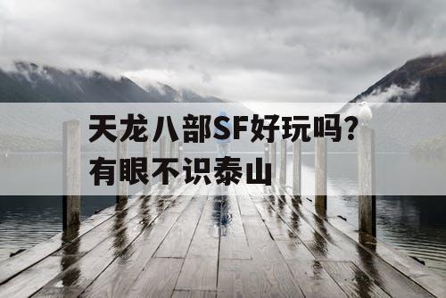 天龙八部SF好玩吗？有眼不识泰山