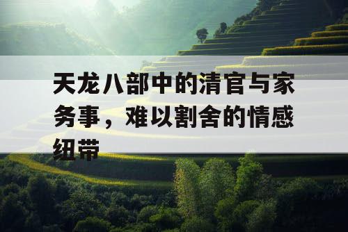 天龙八部中的清官与家务事，难以割舍的情感纽带