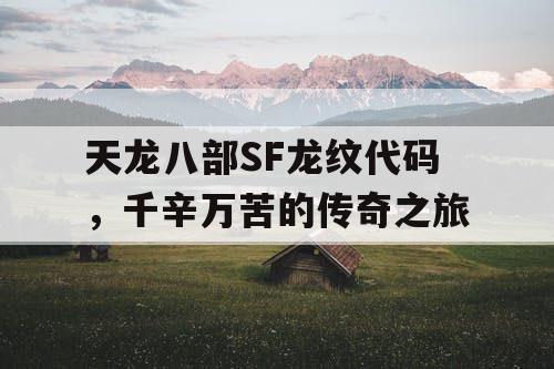 天龙八部SF龙纹代码，千辛万苦的传奇之旅