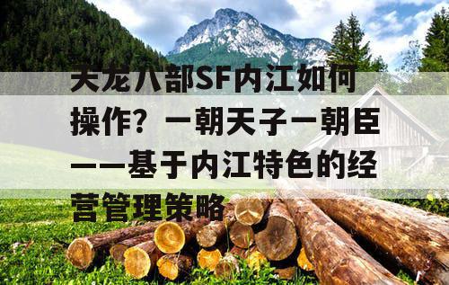 天龙八部SF内江如何操作？一朝天子一朝臣——基于内江特色的经营管理策略