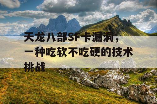 天龙八部sf卡漏洞，一种吃软不吃硬的技术挑战