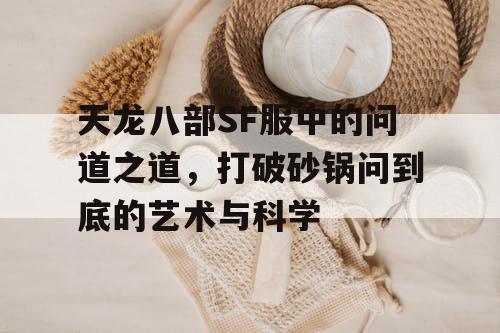 天龙八部SF服中的问道之道，打破砂锅问到底的艺术与科学