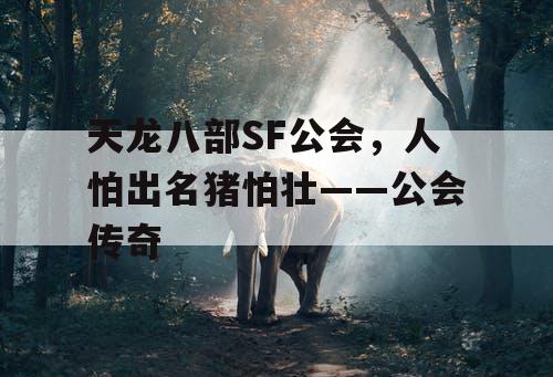 天龙八部SF公会，人怕出名猪怕壮——公会传奇