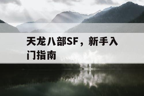 天龙八部SF，新手入门指南