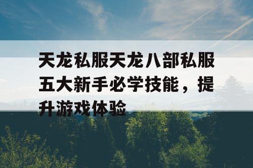 天龙私服天龙八部私服五大新手必学技能，提升游戏体验