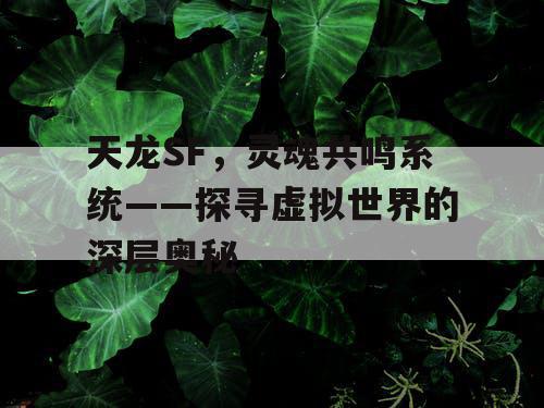 天龙SF，神秘的灵魂共鸣系统——揭开虚拟世界的神秘面纱