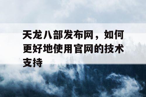 天龙八部发布网，如何更好地使用官网的技术支持