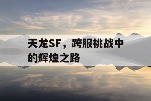 天龙SF，跨服挑战中的辉煌之路