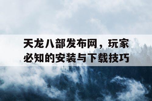 天龙八部发布网，玩家必知的安装与下载技巧