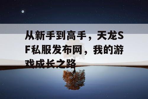 从新手到高手，天龙SF私服发布网，我的游戏成长之路