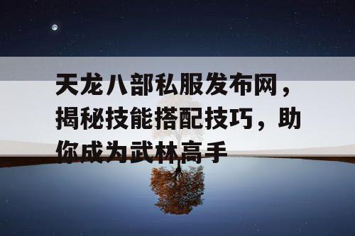 天龙八部私服发布网，揭秘技能搭配技巧，助你成为武林高手