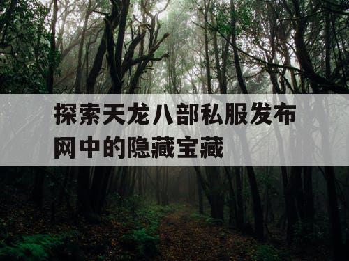 探索天龙八部私服发布网中的隐藏宝藏