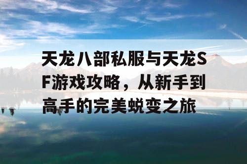 天龙八部私服与天龙SF游戏攻略，从新手到高手的完美蜕变之旅