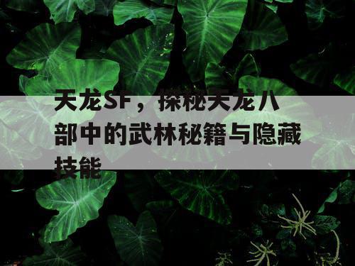 天龙SF，探秘天龙八部中的武林秘籍与隐藏技能