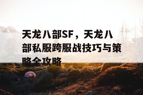 天龙八部SF，天龙八部私服跨服战技巧与策略全攻略