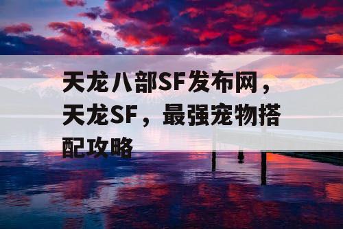 天龙八部SF发布网，天龙SF，最强宠物搭配攻略