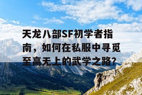 天龙八部SF初学者指南——如何在私服中寻觅至高无上的武学之路？