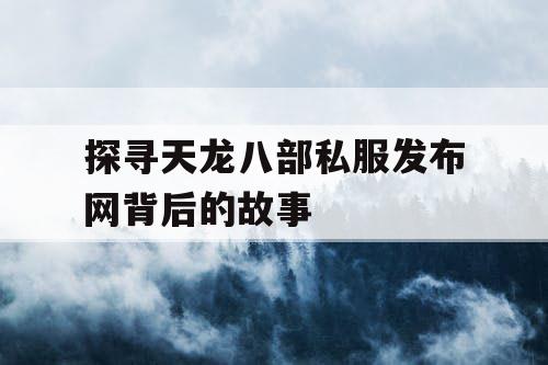 探寻天龙八部私服发布网背后的故事