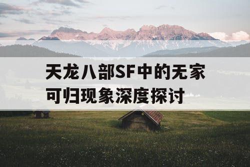 天龙八部SF中的无家可归现象深度探讨