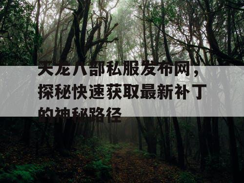 天龙八部私服发布网，探秘快速获取最新补丁的神秘路径