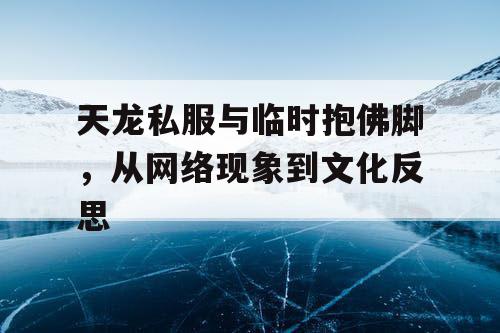 天龙私服与临时抱佛脚，从网络现象到文化反思