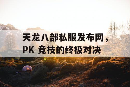 天龙八部私服发布网，PK 竞技的终极对决