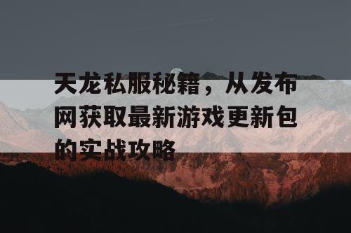 天龙私服秘籍，从发布网获取最新游戏更新包的实战攻略