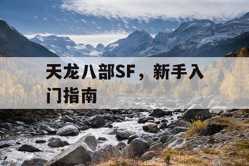 天龙八部SF，新手入门指南