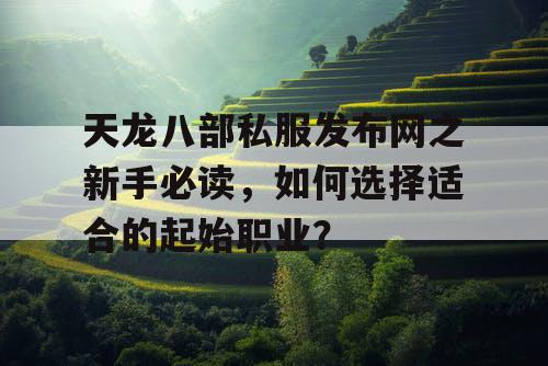 天龙八部私服发布网之新手必读：如何选择适合的起始职业？