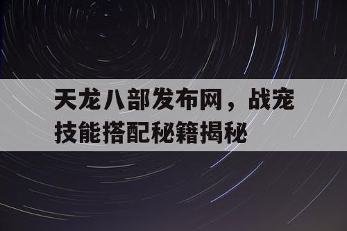 天龙八部发布网，战宠技能搭配秘籍揭秘