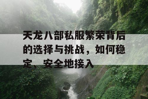 天龙八部私服繁荣背后的选择与挑战，如何稳定、安全地接入