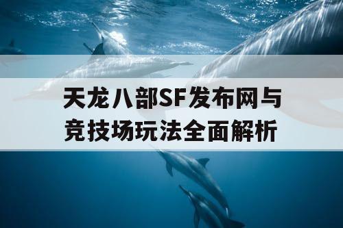 天龙八部SF发布网与竞技场玩法全面解析